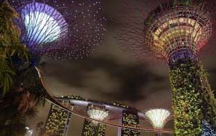 two structures in singapore during the nighttime